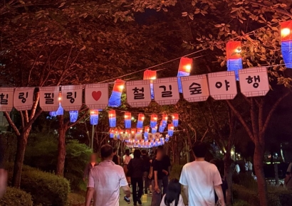 ‘힐링필링 포항철길숲야행’ 8만명 방문… 빛·감성 물든 가을밤 성료