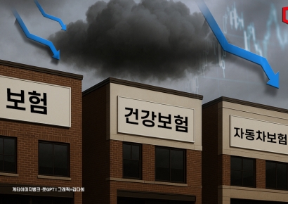 보험사 실적 3분기도 어둡다… 건강보험 출혈경쟁·자동차보험 발목
