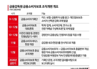 [금융현미경]이찬진 금감원장, 금소처 격상 추진…내년 국민보고대회 예고
