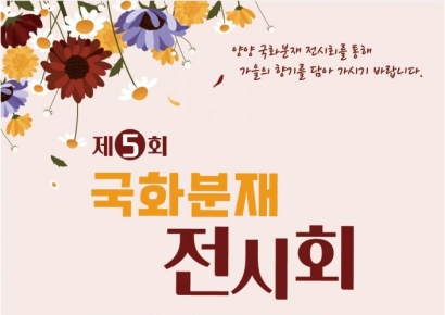 양양군 국화분재연구회, 국화와 함께 가을 정취…국화분재전시회 개최