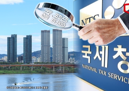 '거짓 정보'로 조회수 장사하곤 탈세…국세청, '부동산 투기조장 유튜버' 등 세무조사