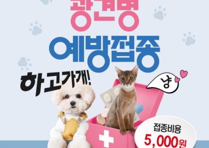 광주시, 반려견·반려묘 광견병 예방접종