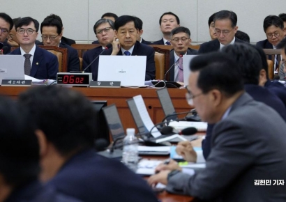 [2025국감]고정욱 롯데지주 사장 "기존 자사주, 시간 갖고 소각해야"