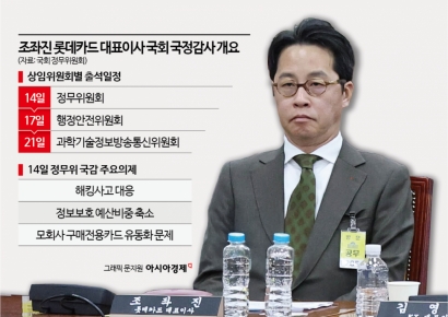 조좌진 롯데카드 대표 국감 출석…홈플러스·해킹 전방위 '공세'