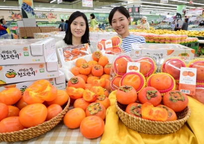 기재부 "상반기 부진서 벗어나…경기 개선 흐름 이어져" 