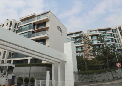 1년 동안 '55억 급등' 웃던 한남더힐도 결국엔…정부, 토허제 대상 확대[부동산AtoZ] 