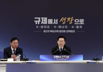 이재명 대통령 "관료화된 정부가 족쇄…규제 완화·철폐될 것"