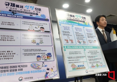 [포토] 2차 핵심규제 합리화 브리핑하는 손동균 규제조정실장