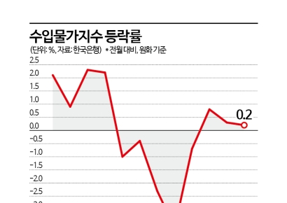 석 달째 오른 수입물가, 추세 상승 여부는…"이달 국제유가·환율 주목"