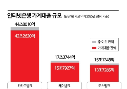 주담대 보릿고개에 인뱅들도 '울상'