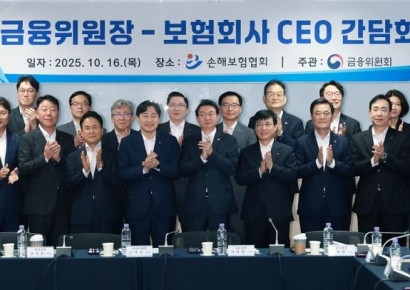 보험사 듀레이션 갭 규제 도입…최종관찰만기는 2035년까지 단계적 조정