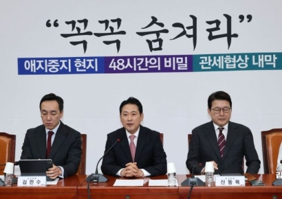 [포토] 국힘 "李정권, 부동산 테러…관세 협상은 깜깜이"