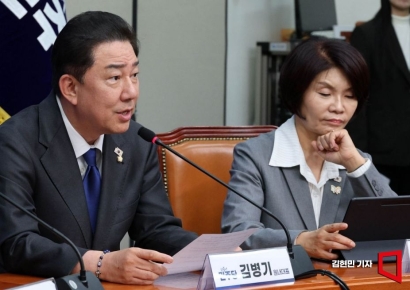 Kim Byunggi: "Prosecution Stayed Silent on Kim Keonhee... Daejang-dong Investigation Team Will Be Held Accountable"
