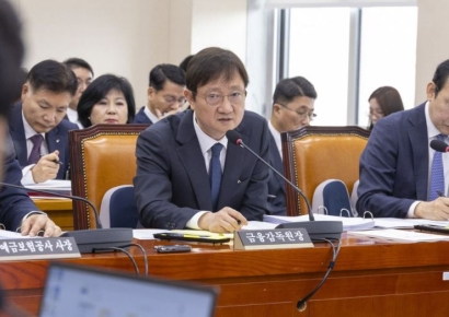 [2025국감]"MBK식 LBO만은 막아야" 지적에...이찬진 "감독 강화"