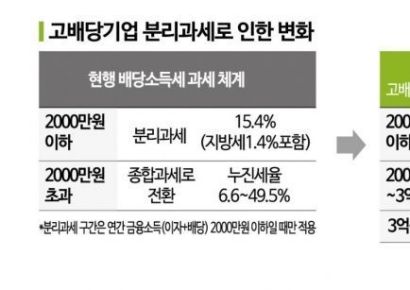 [Why&Next]고배당 분리과세, 25%로 낮춘다…시행시기도 앞당겨