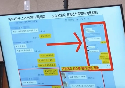 "2차는 애기? 무슨 뜻이냐" 묻자…'음주소동' 판사 답변은?