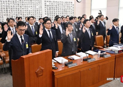 Sloppy National Assembly Audit Ends in a Month... "Effectiveness Must Be Enhanced"