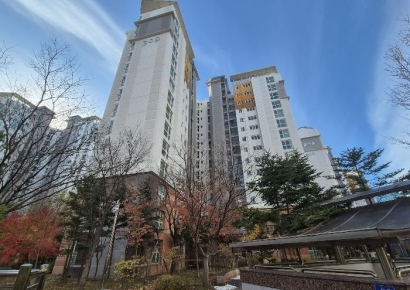 "이게 아직 되네"…규제 틈새 보이자 돈 싸 들고 몰린 사람들, 경매시장 '활활' [부동산AtoZ]