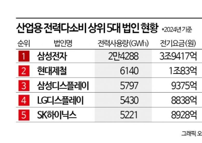 [단독]전력다소비 20대 기업, 전국 가정이 쓰는 전기만큼 썼다