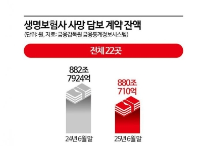 '1285만원→2330만원'…"차 바꿀까" 불장에 '효자' 된 변액보험