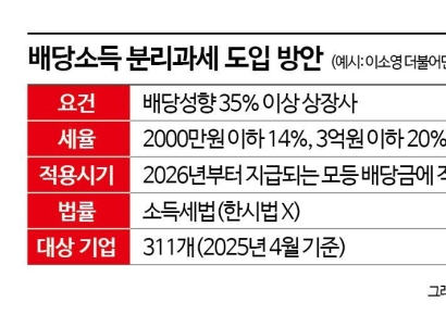 [Invest&Law]"상법·세법 개정…지주사株, 내년 중대 분기점"