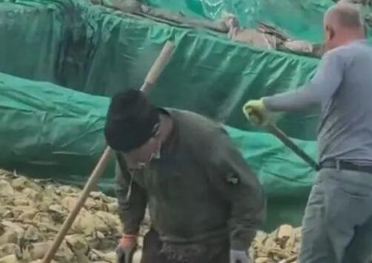 절임 식품공장서 담배 피우고 침 뱉어… 위생 논란 재점화 하는 中