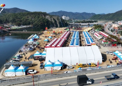 다시 푸르게, 다시 붉게… 가을빛에 물든 ‘제19회 청송사과축제’ 개막