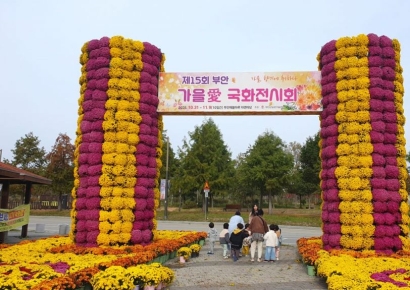 부안군, 31일부터 '가을愛 국화전시회' 연다