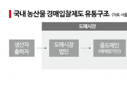 [날씨는 죄가없다]②'3초컷' 농산물 낙찰…그들만의 리그 '도매價'