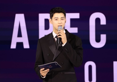 차은우, 세금만 200억?…"100억은 거짓말한 대가, '절세' 시도하다 탈나"