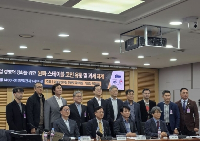 [Bitcoin Now] "Korean Won Stablecoins Should Be Taxed Differently from General Virtual Assets"