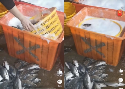 펄떡이는 활어 거품 가득한 통에 '풍덩'…中 수산시장 모습에 '화들짝'
