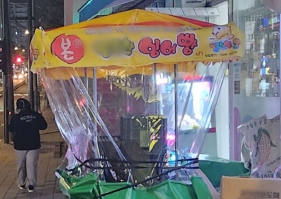 "이러다가 영영 사라지는 거 아냐?" 자취 감추는 '국민 간식' 붕어빵 노점 