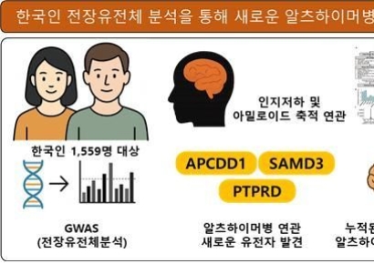 Numerous Genetic Factors for Alzheimer's Identified in Koreans... Foundation Laid for Precision Personalized Treatment