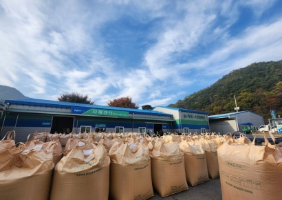 정부, 쌀 10만t 시장격리 않기로…"쌀값 안정 취지"