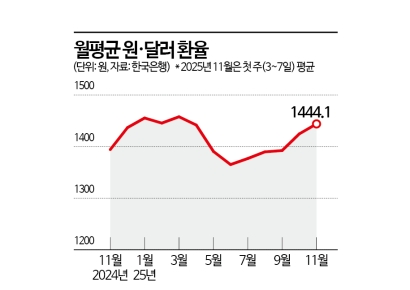11월 평균환율 '관세 공포' 4월 수준 넘었다…연말 레벨 어디로[Why&Next]