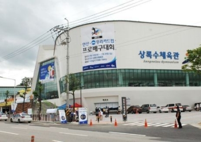 "체육관 앞에 배구 여제 '김연경' 이름 넣자" 여론조사 한 안산시, 결과는