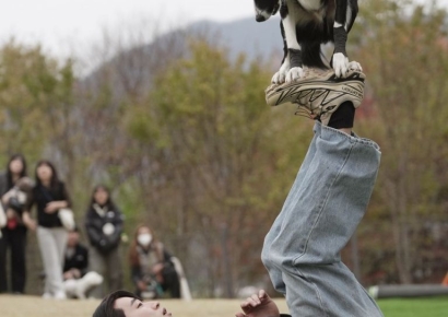 '생활양식' 된 반려동물…이웃 '3명 중 1명' 반려동물 키워