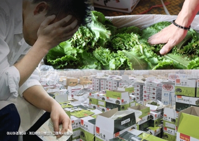 They Said Returning to Farming Would Earn 80 Million Won... Wild Lettuce Auction Prices from 10,000 to 90,000 Won Leave Only 900,000 Won a Month in Hand [The Weather Is Not to Blame] ①