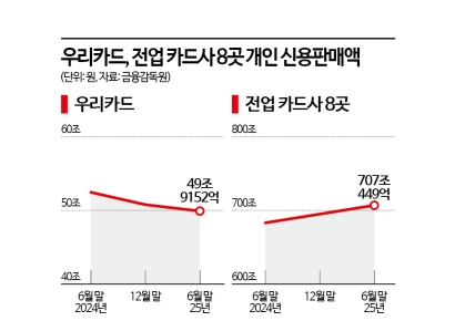 '연체율 막느라 역대 최장 보릿고개' 우리카드, 혁신상품으로 반전시도
