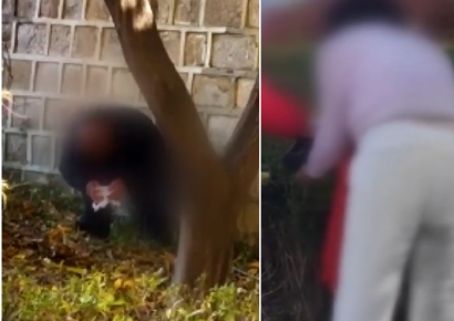 "한국인 아니지?" 한 손에 휴지 들고 '끙'…경복궁 돌담 아래서 용변 본 남녀