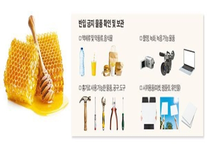 "Honey Not Allowed": Lifeline for Diabetes Patient Blocked at Court Security Checkpoint