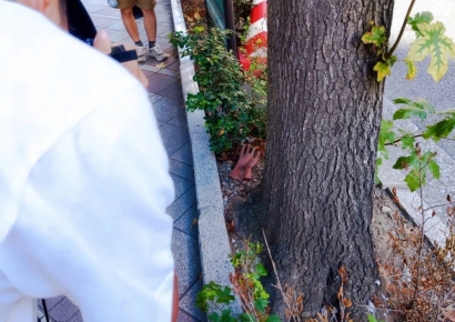 유명 관광지 해설 알고 보면 다 거짓말…장갑 한쪽 사연까지 풀어내는 '이색 여행'[日요일日문화][日요일日문화]