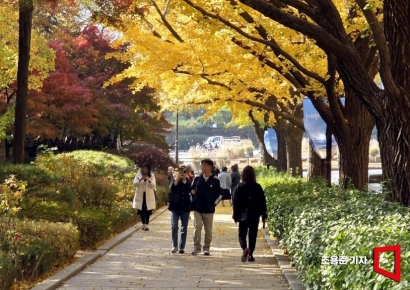 [포토] 울긋 불긋 물든 청와대 앞길
