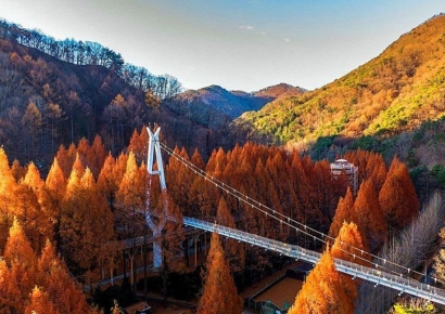 대전의 가을 낭만 코스 보문산·장태산·계족산·식장산·갑천생태호수공원