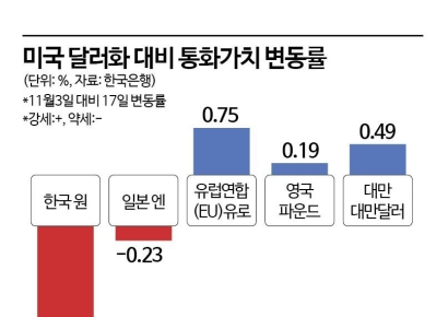 [Why&Next]두터워진 달러 수요가 만든 高환율 현상…원화 약세가 뉴노멀되나