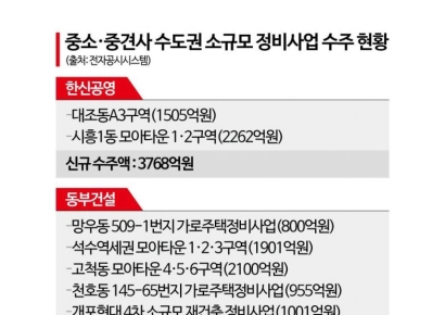 수도권 소규모 정비사업 대거 수주…보폭 넓히는 중소·중견사