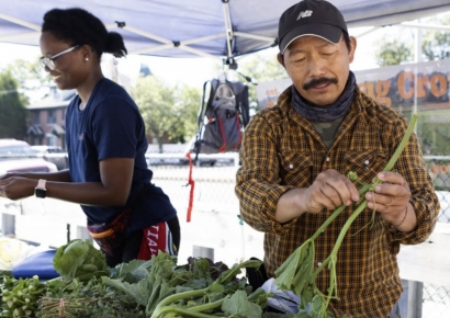 "케첩은 알아도 토마토는 본 적 없다"는 美…일본은 달걀 아닌 "회·초밥이 왔어요"[식품사막]⑤