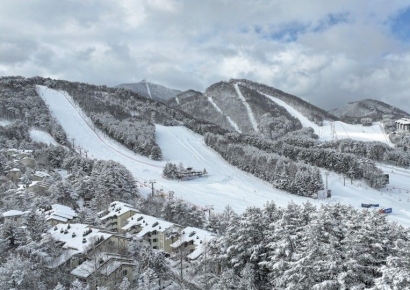 모나용평, 올겨울 국내 스키장 최초로 21일 개장