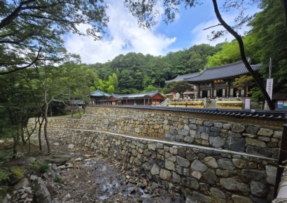 양산시, 홍룡사 대웅전 주변 '고품격 경관' 완성